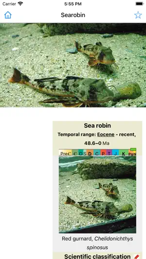 Encyclopedia of Fish截图3