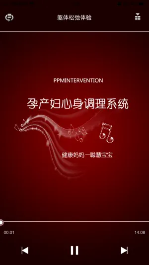 PPM系统截图1