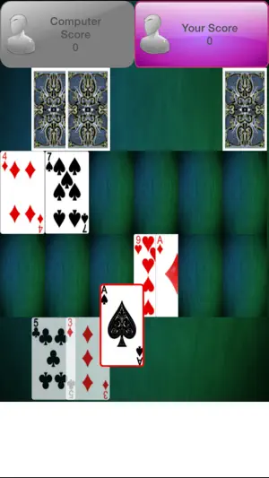 Casino Card Game截图4