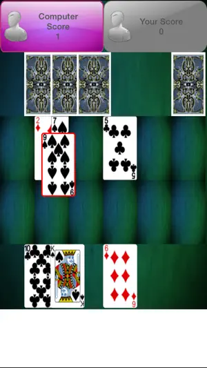 Casino Card Game截图3