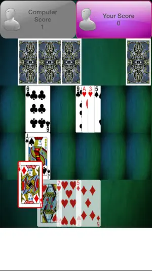 Casino Card Game截图2