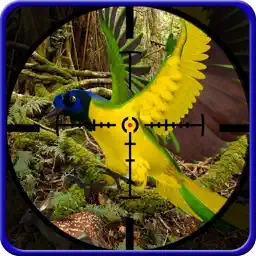 野生金色鸟猎人：狩猎模拟器免费